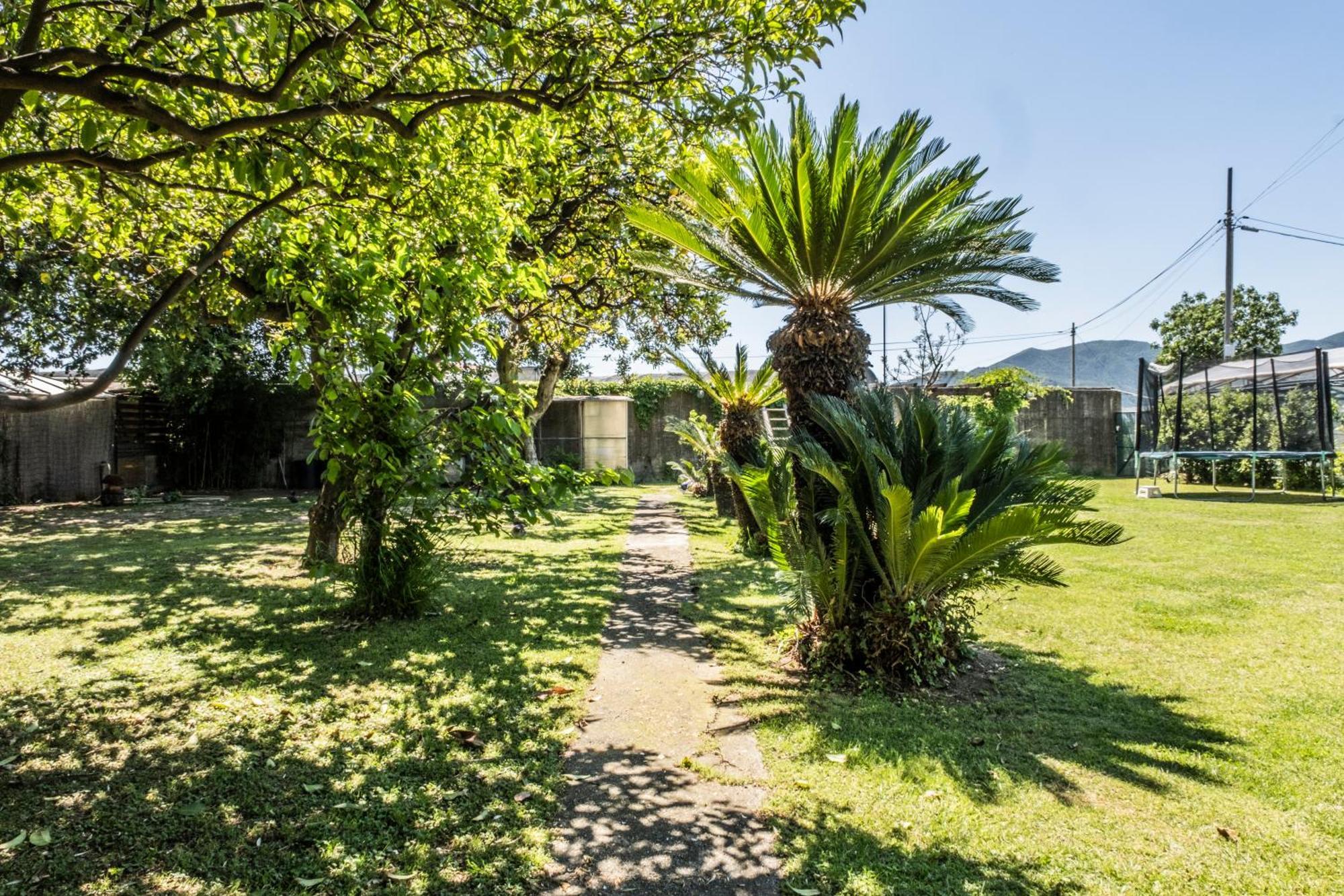 Agriturismo Giorgi Appartamenti In Riviera Ligure Albenga Exteriér fotografie